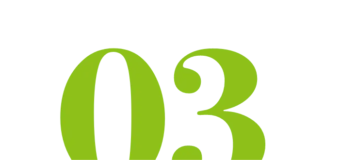03